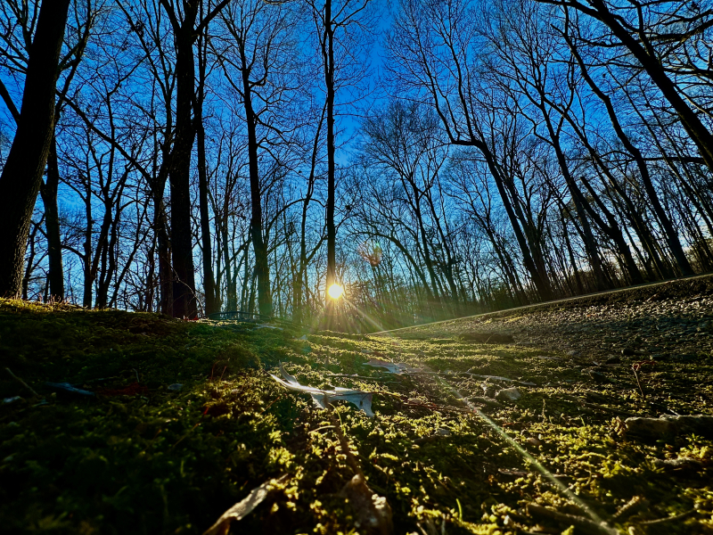 Guilford Courthouse National Military Park