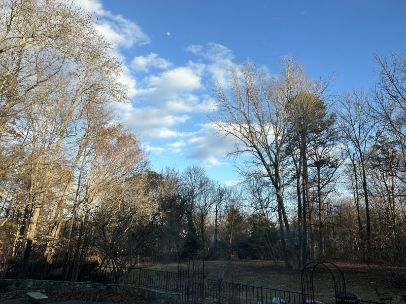 Wintery Skies Over Greensboro