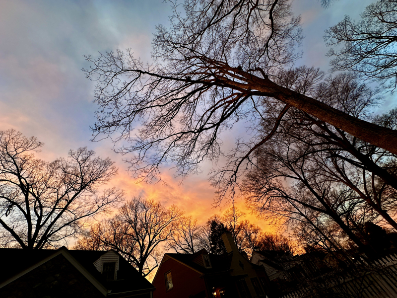 Spring Day Sunset Hills Historic District