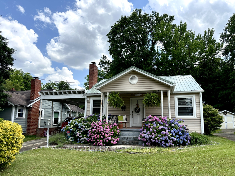 Hydrangea Season on Walker Avenue