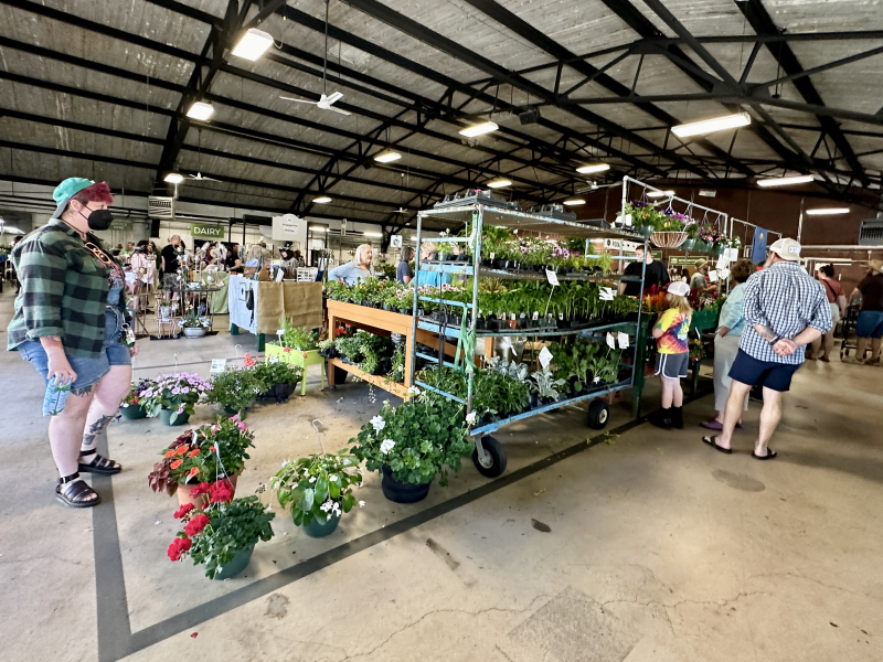 Planting Season Is Upon Us