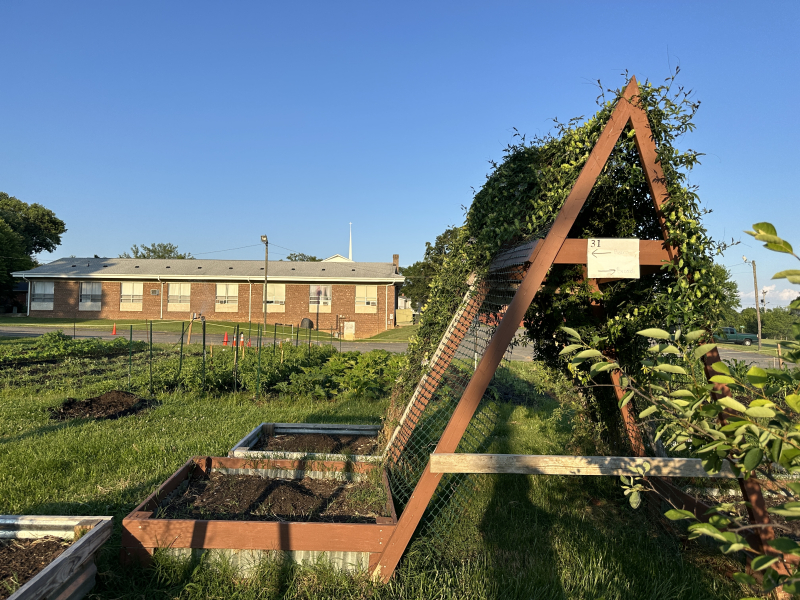 Community Garden at St. Phillips AME Zion Church