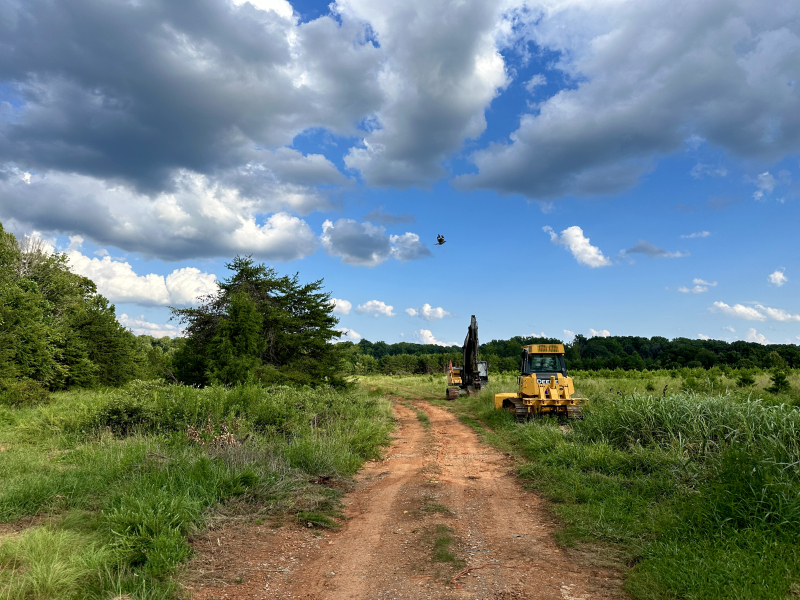 Open Pasture on Highwoods Boulevard