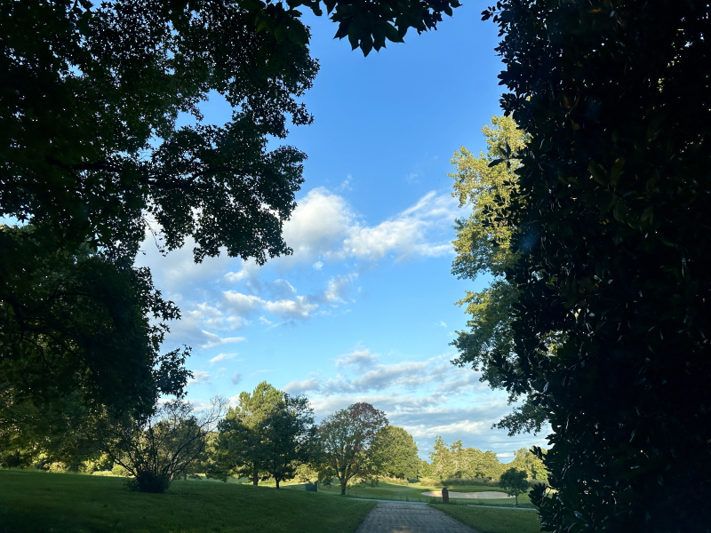 Early Fall in Greensboro