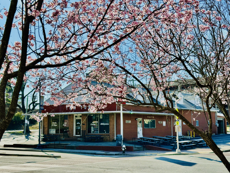 Yum Yum  for Ice Cream and Hot Dogs!