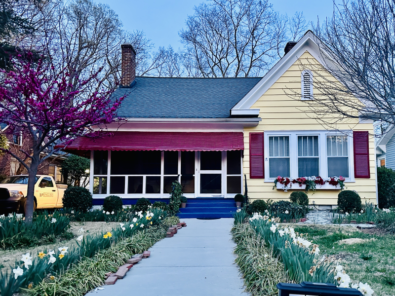 Weekend Walk around Lindley Park