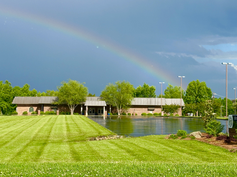 Somewhere Over the Rainbow