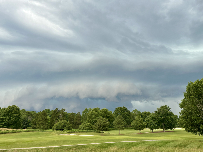 Missed MUSEP due to the Rainy Sunday Evening