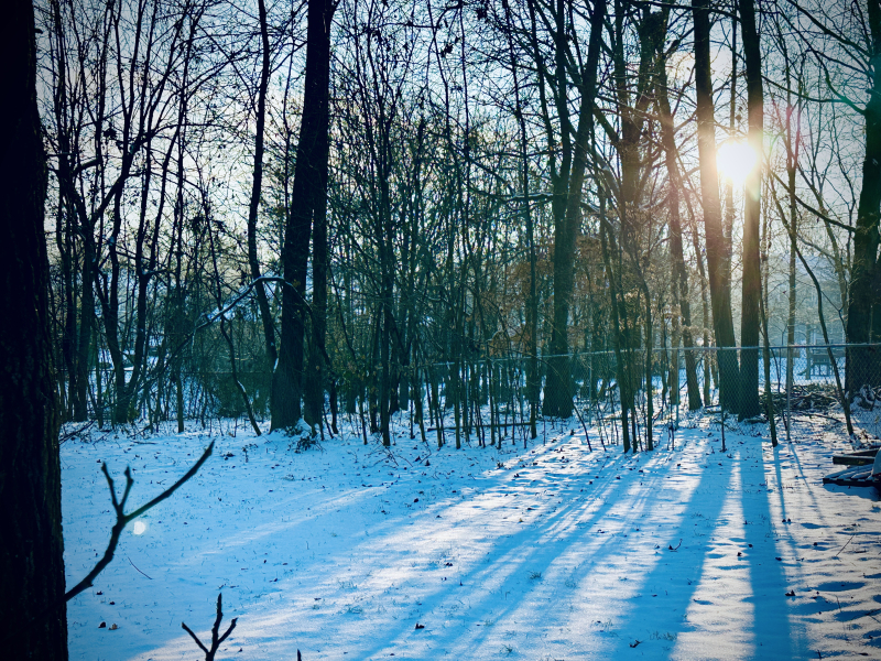 Reflecting on Winter Sunrises in Greensboro