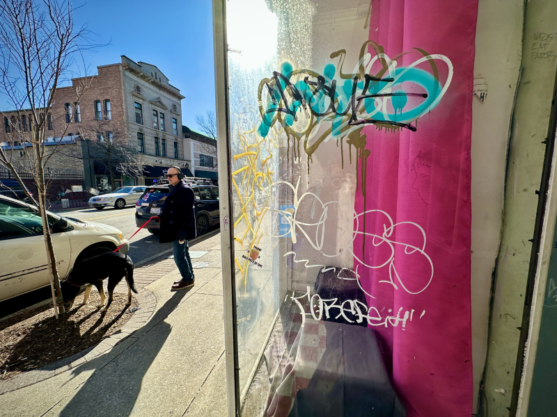 dog walk on south elm street