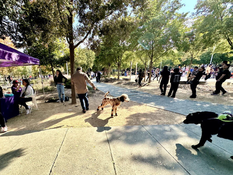 Downtown Greensboro in LeBauer Park