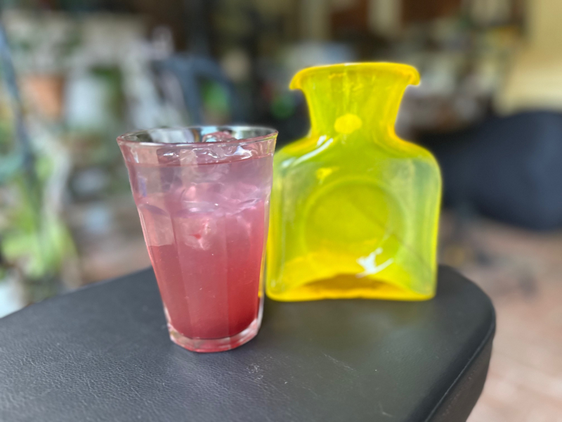 In Greensboro, Elderberries Are Waiting to Be Picked!