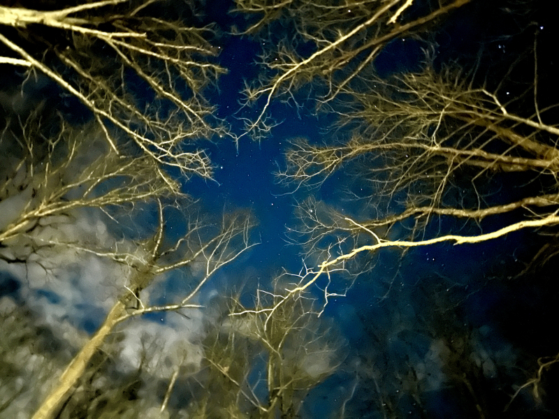 Stars and Planets in the Night Sky