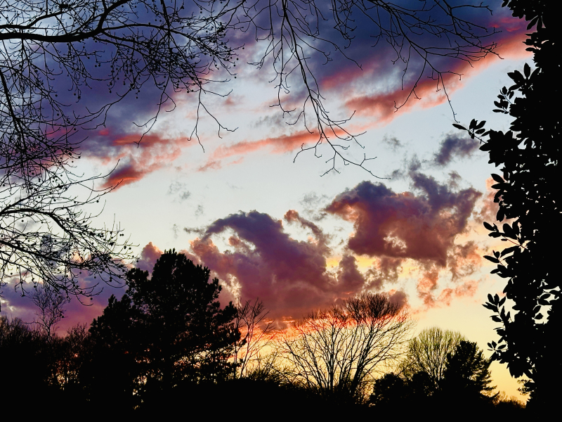 Night Sky Over Greensboro