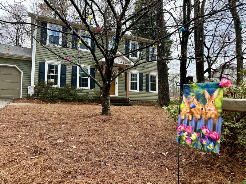 Spring Has Sprung On Stony Glen Loop