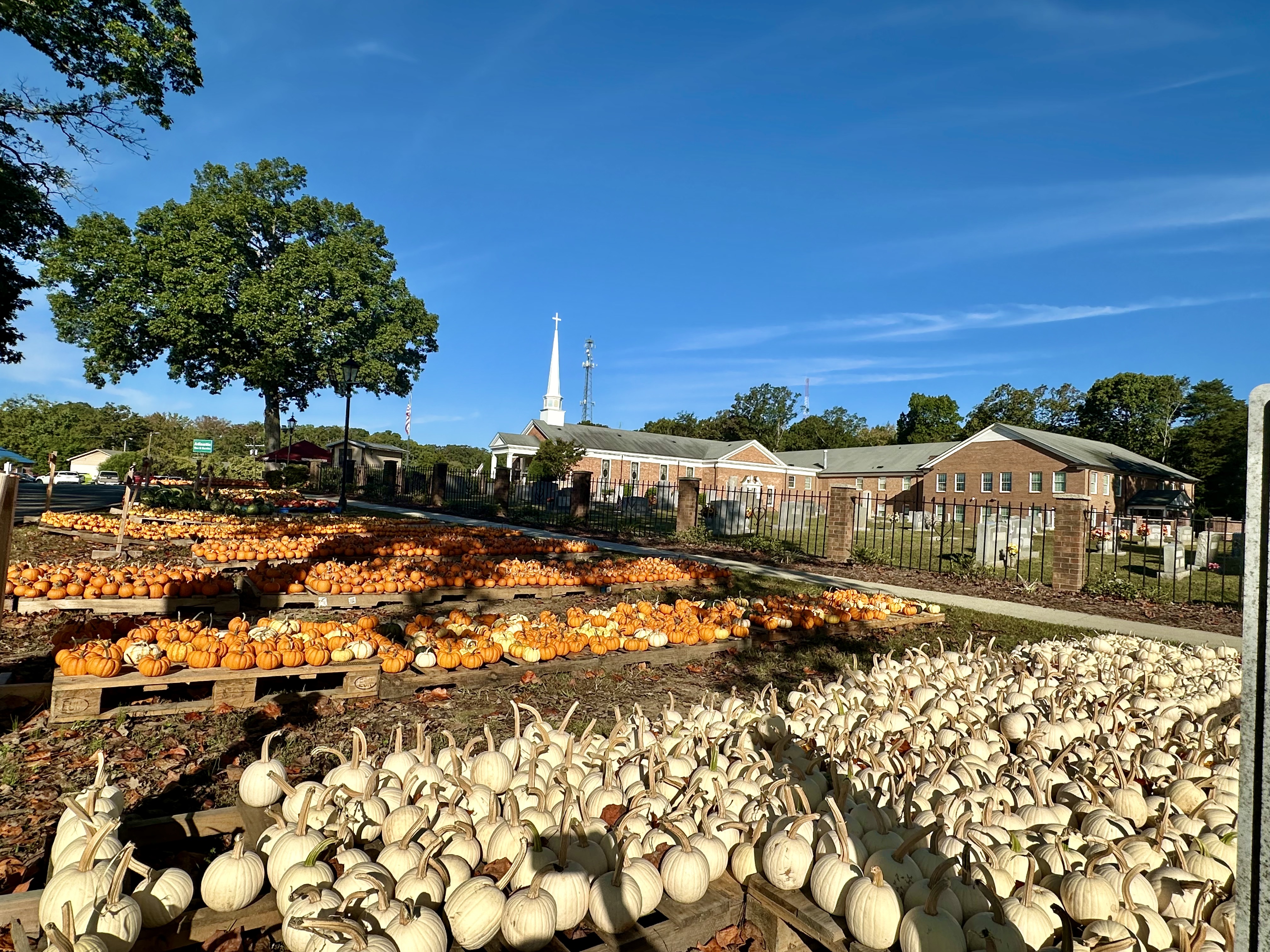 Mt. Pisgah Global Methodist Church