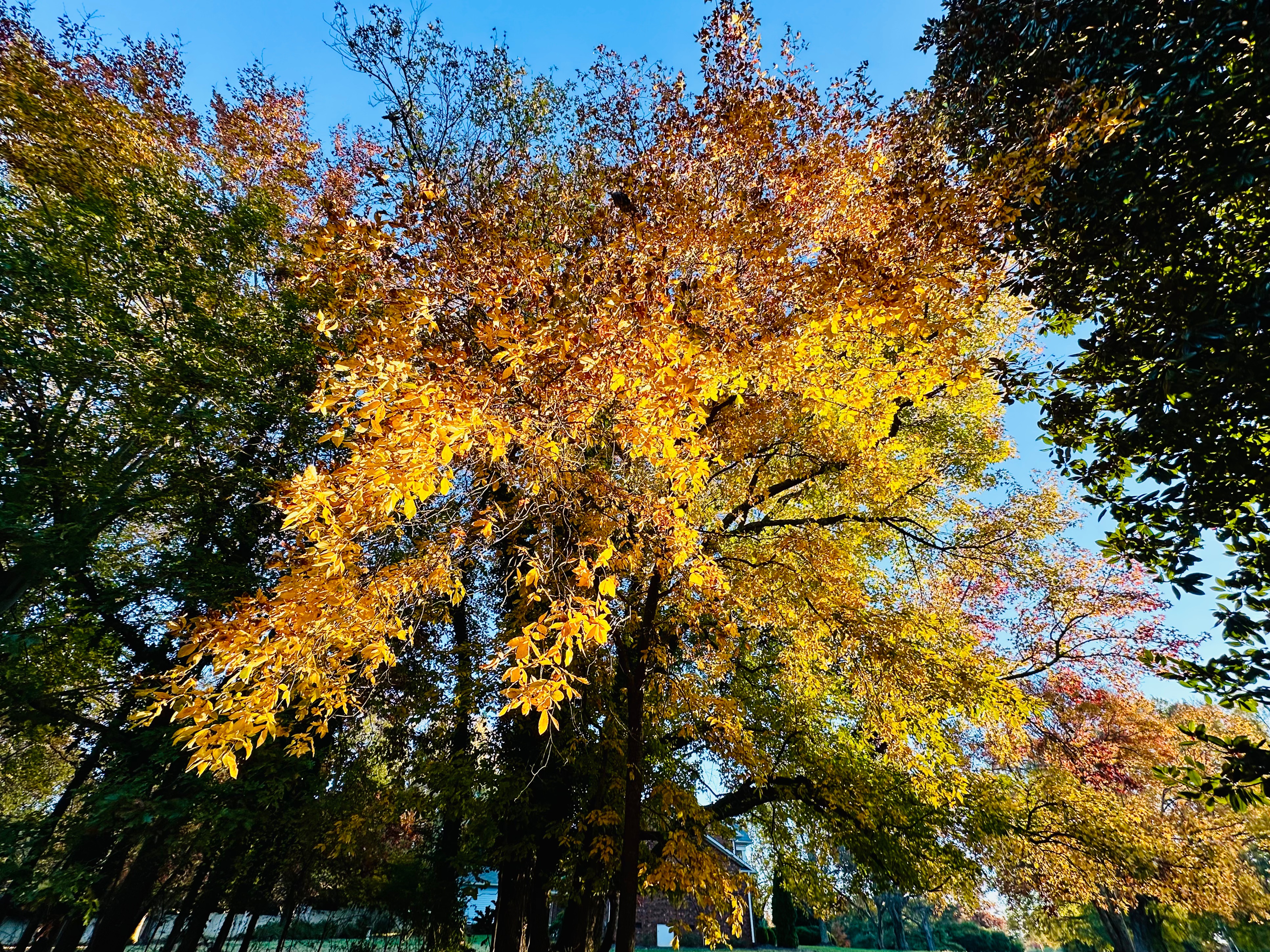 Autumn 2025