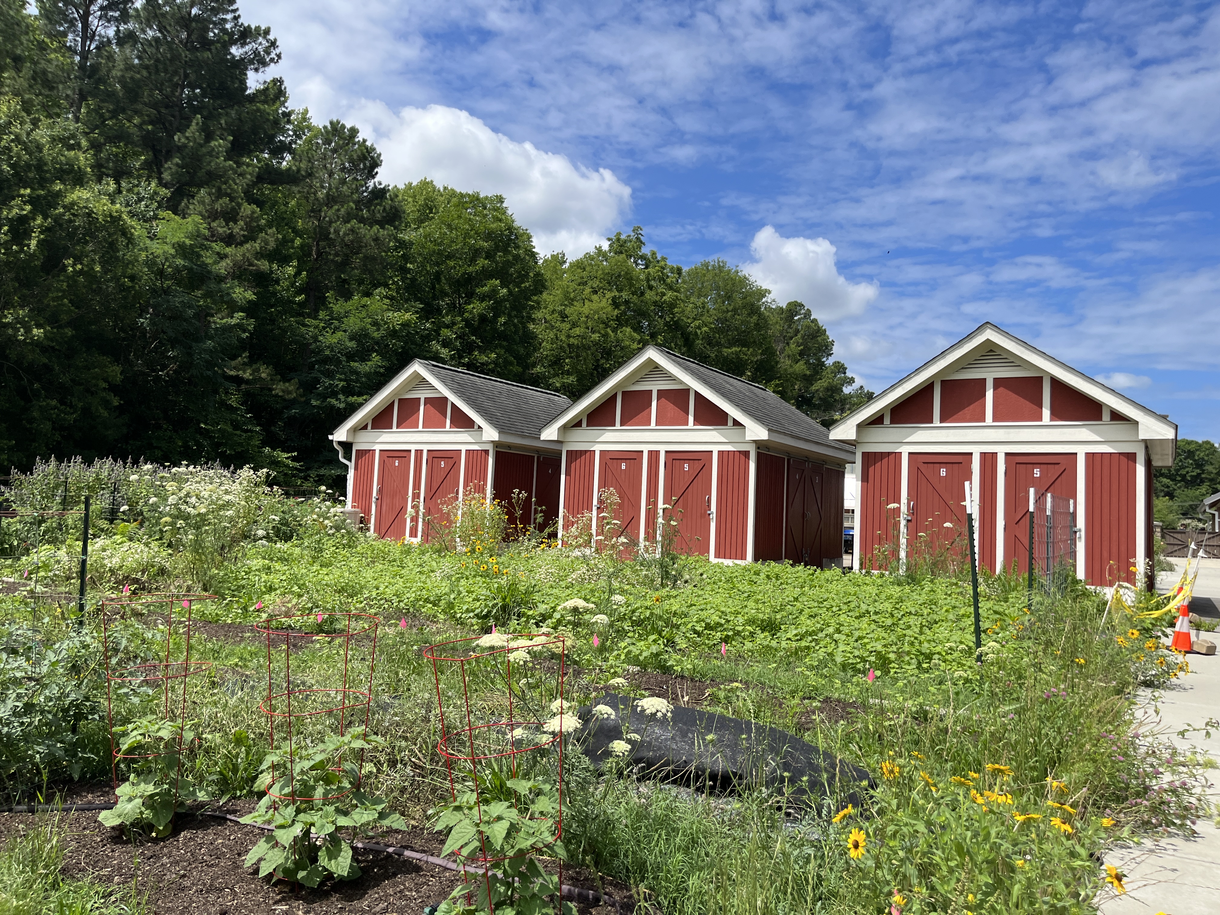 Every Day is Earth Day