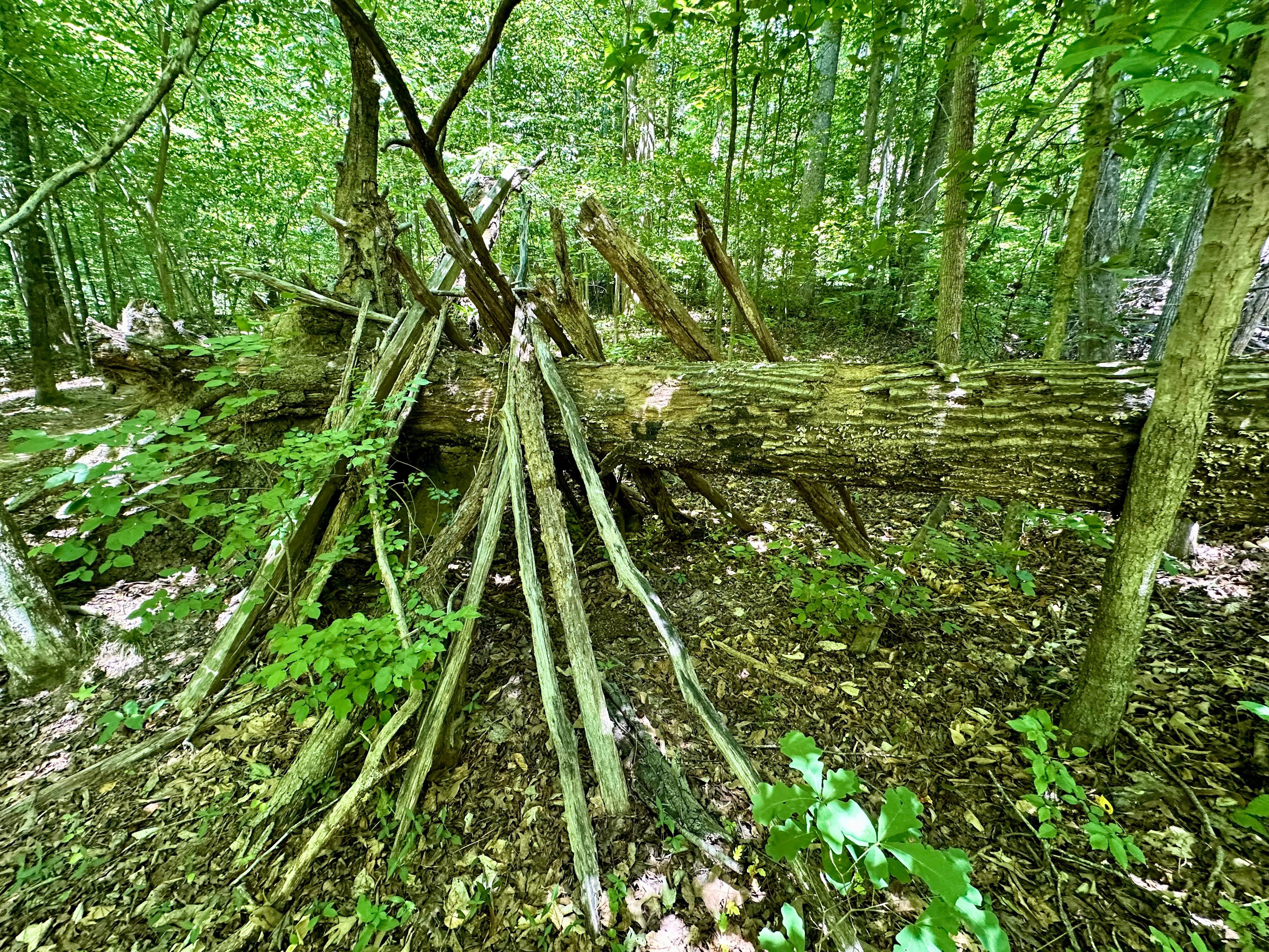 Outdoors on Bald Eagle Trail