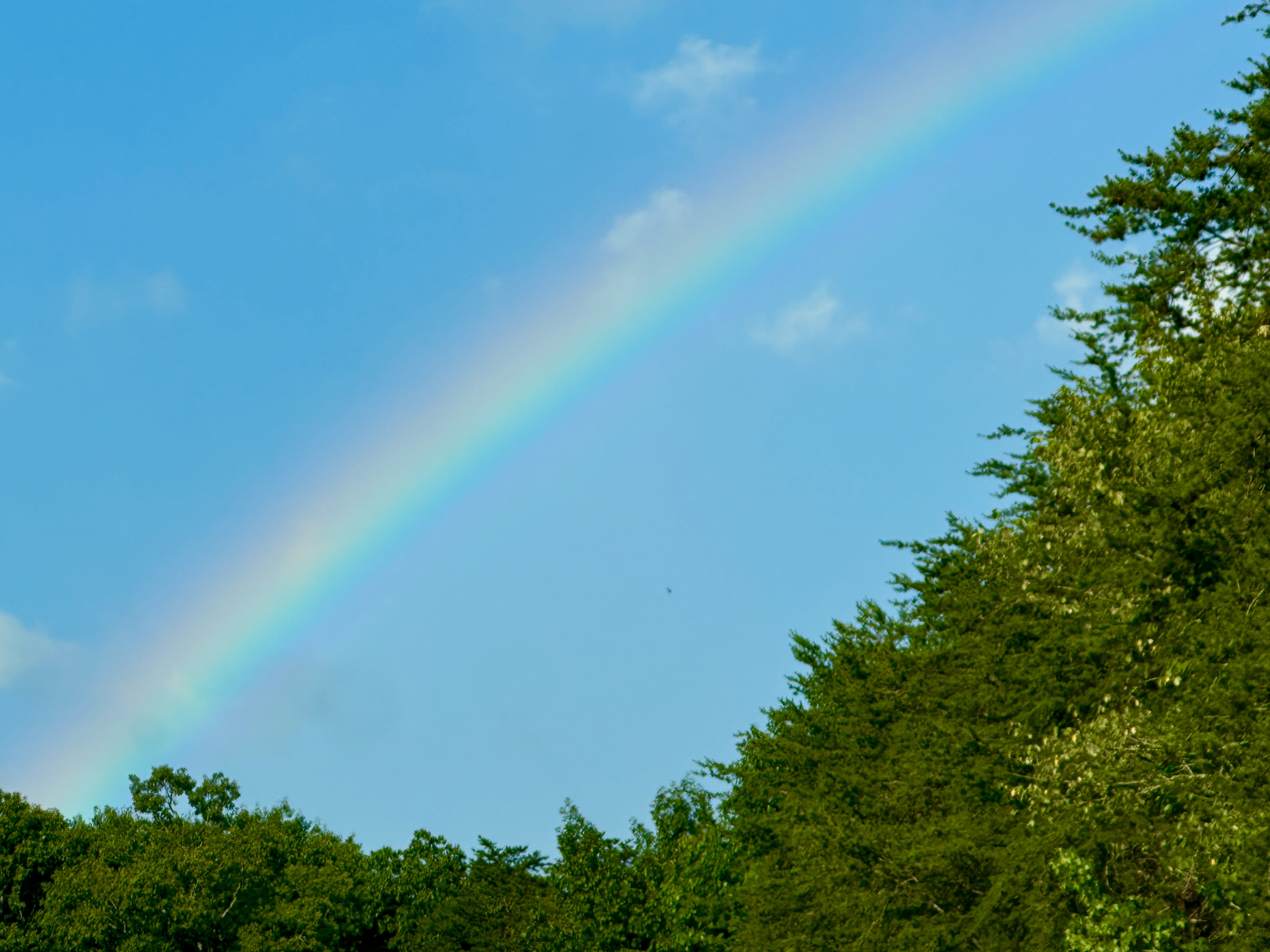 Yesterday…a rainbow!