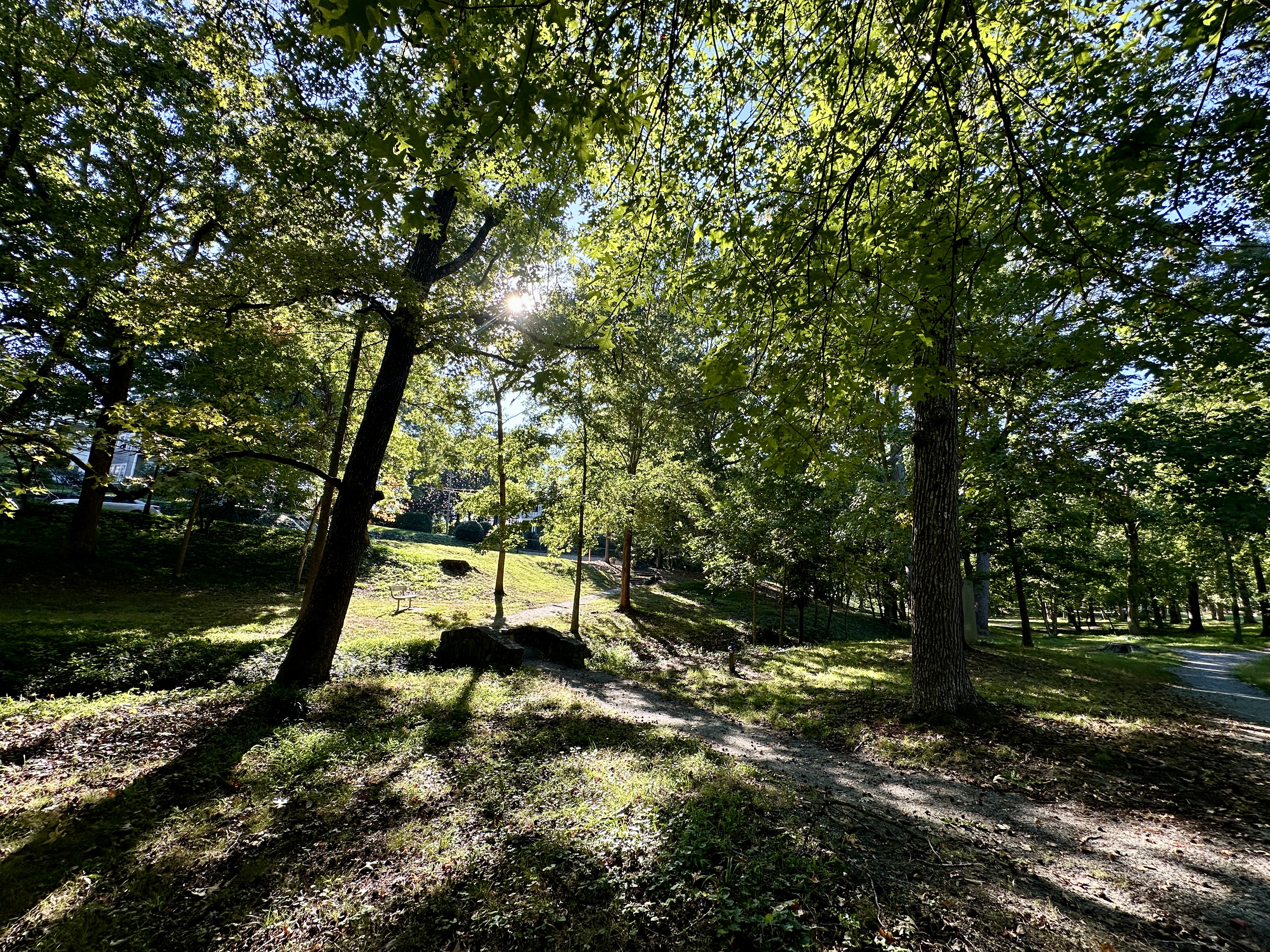 Fisher Park